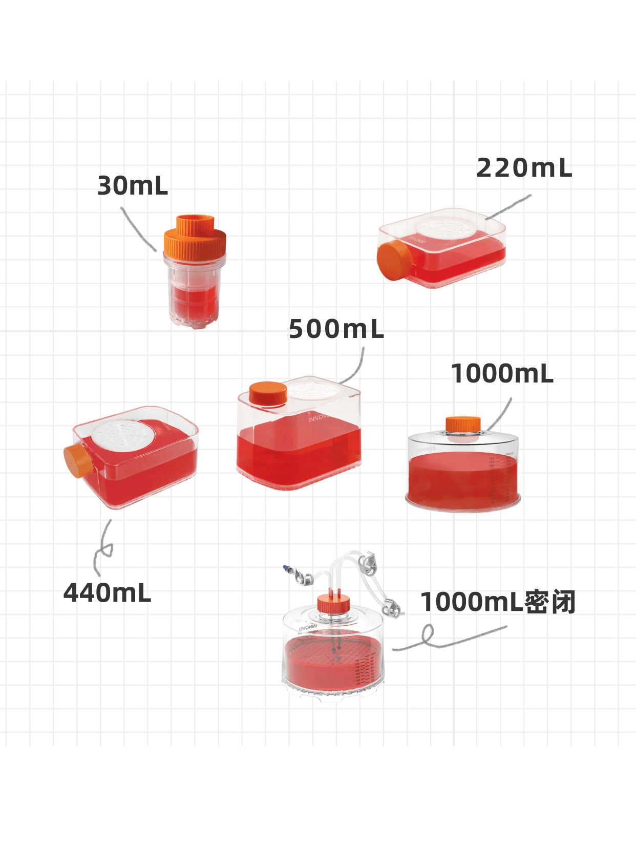 飞盘运动休闲娱乐产品推荐小红书封面__2023-10-31+09_30_45.png