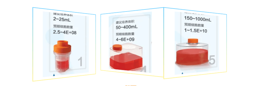 企业微信截图_20250815132053.png