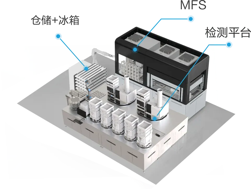 640 (3).webp