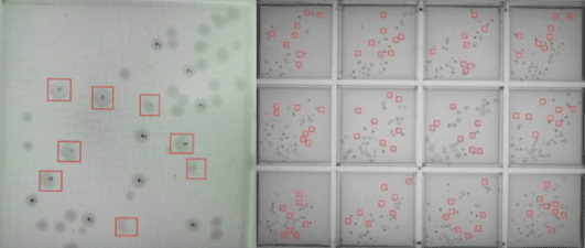 9ad1a578d423be4860a694b81f93007a.png