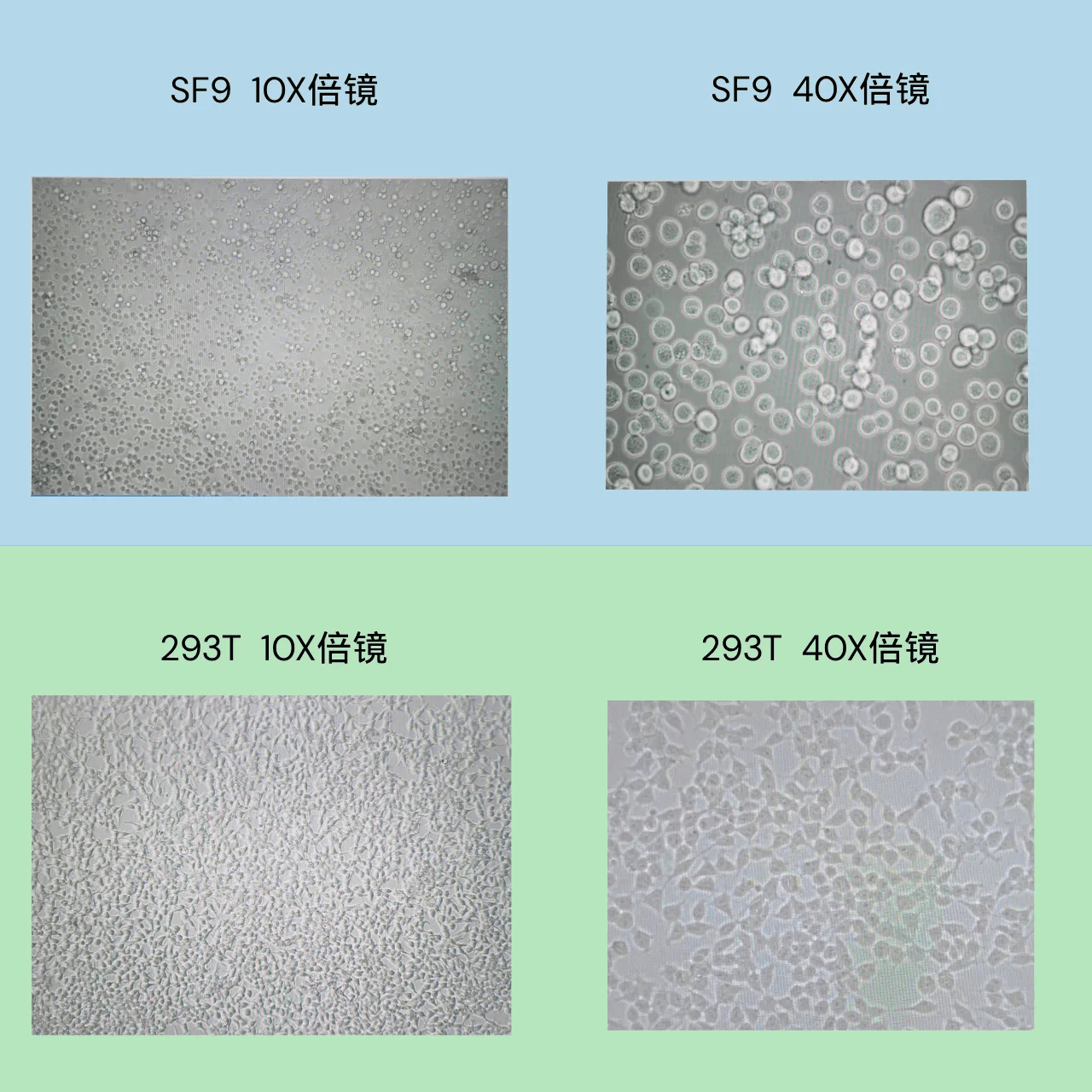 b1229048bc5b4492016167330dcc374.png